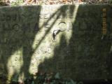 image of grave number 366098